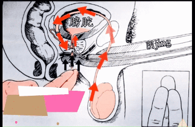115cc72b2cd440c777c017c8b54b8c38.jpg