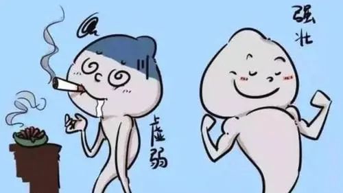 4fb2fba45c3d3b3c80e0712ebea8b5f2.jpg