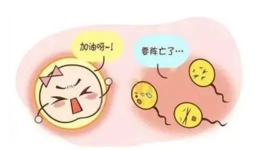 微信图片_20230713091800
