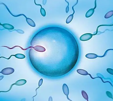 f76017fdc846d6015c94e3194ab9dd5f.png