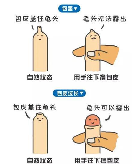 12f25e4b6d5724ee25f87a38bd4f409c.png