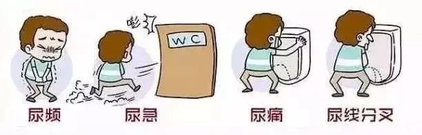 图片7
