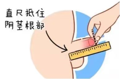 1332af878f67163c970e225c9876afa2.png