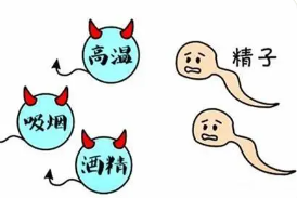 8a7cd411ffe6df39113a613b7cdefc00.png