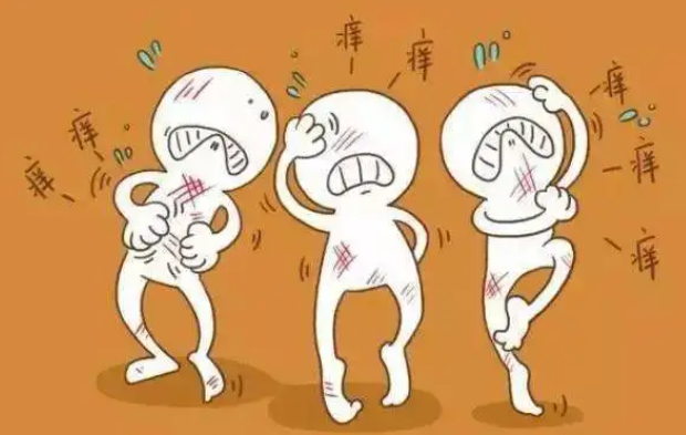 27729d22c959ed95dd8776e9fcb5a30a.png