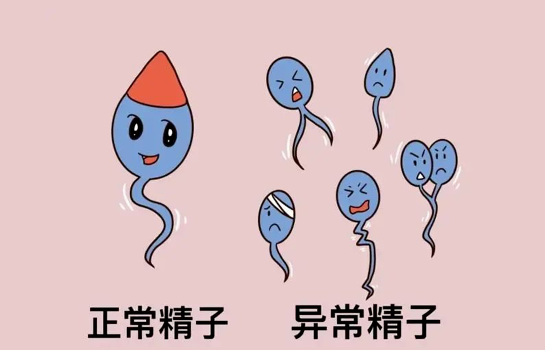 75cae9cd2173059742ed9c582ffd789c.png