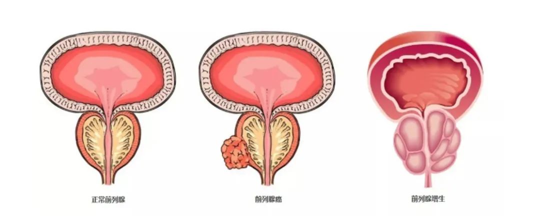 eaacf6ad8a5e9a489f497bec8dc8abe8.jpg