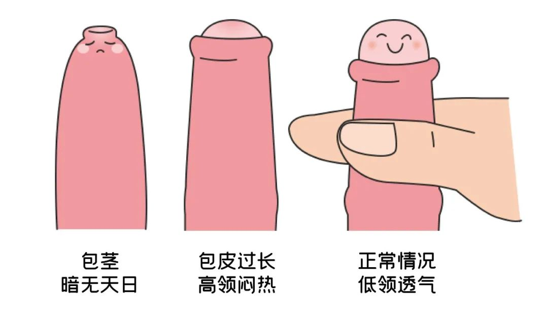 89adbbc722dd6517f9736c8e63744efe.png