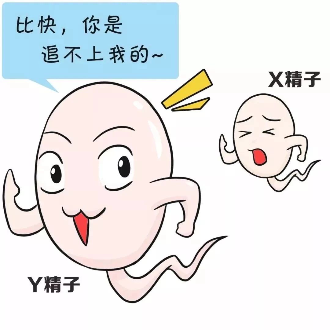 b2df1494a3d5cb514daec5e297b0975a.jpg
