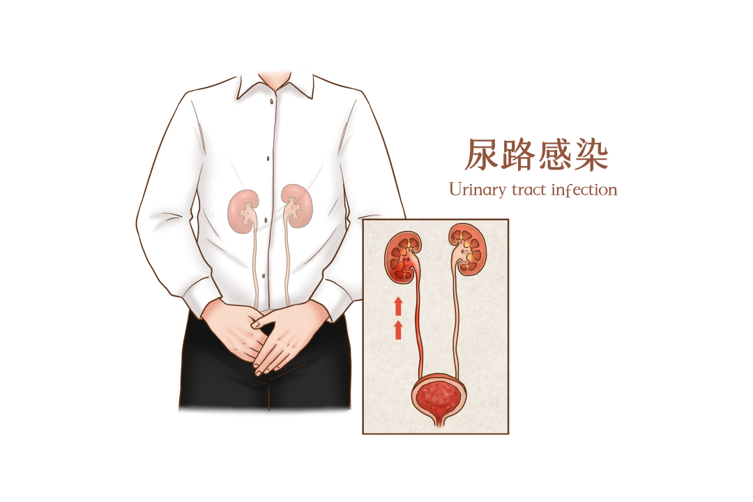 3a2d11a793866b64d5349ae04d2cfc81.png