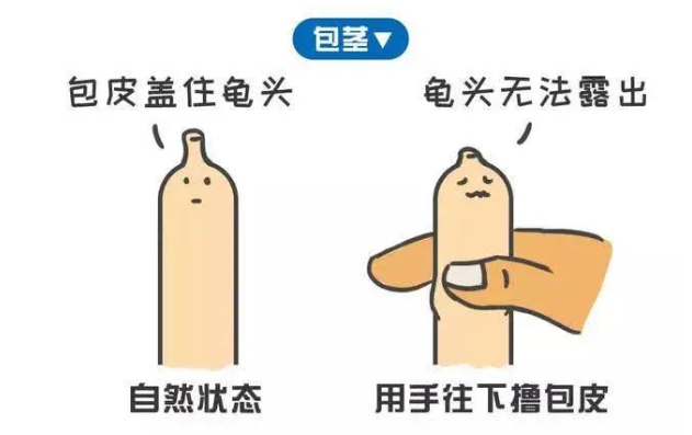 a97a73f433314f89efbaa836e2f7db4.png