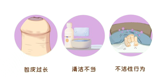 9fc06a415f0aa92bcee5b6f6a0783f06.png