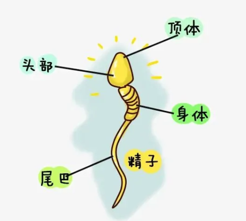 33b514f9780b66a2b8c25140165235a5.png