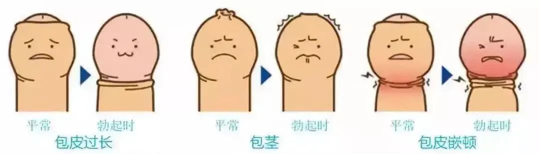 7c29c4025d7fe56dc155367906e96e73.jpg