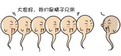 1a644521150f38798375b476e5652ced.jpg