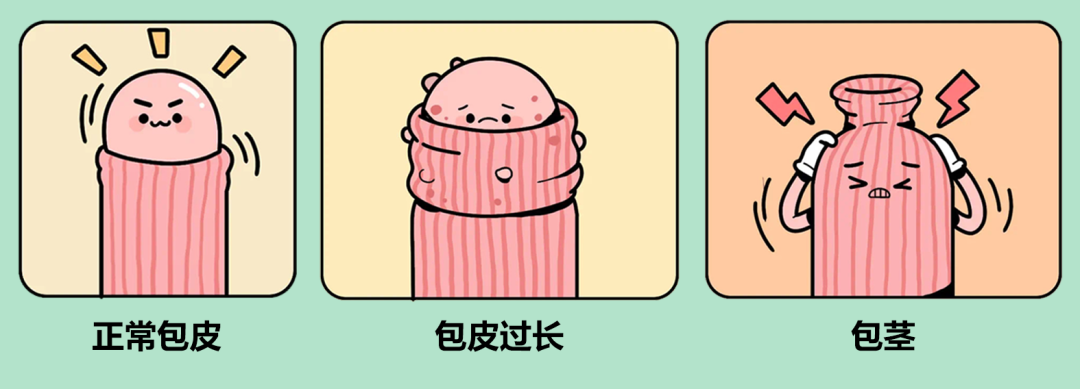 b2adbb7b78bbb12cc00216e127063715.png