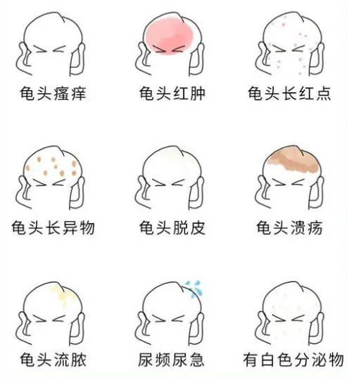 dda9efc04626b4231537e2da67ee3641.png