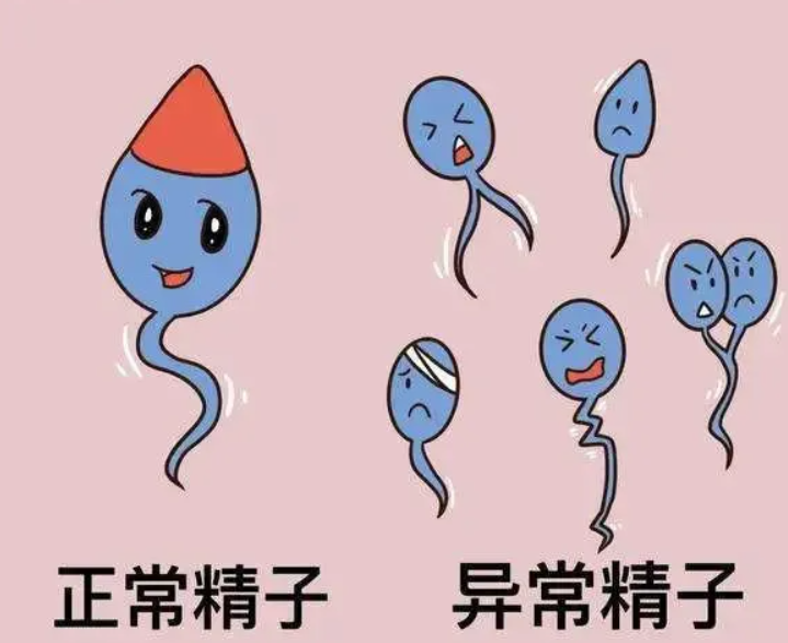 1d8c924778745e08768faa3a95e70341.png