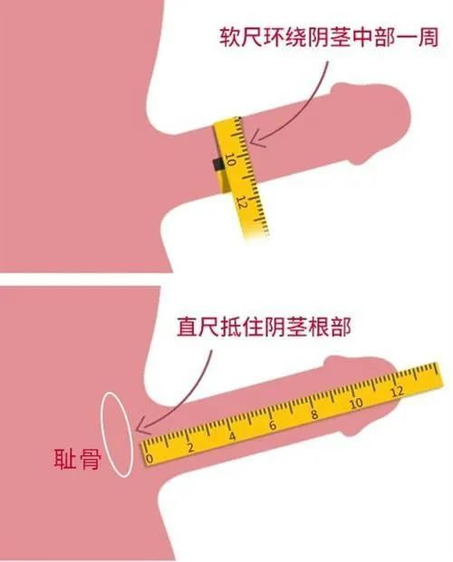 ab64d723d07616c06de00e7c7c873b1f.jpg