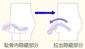 f64e1b7575542775263be9e8109eac89.jpg