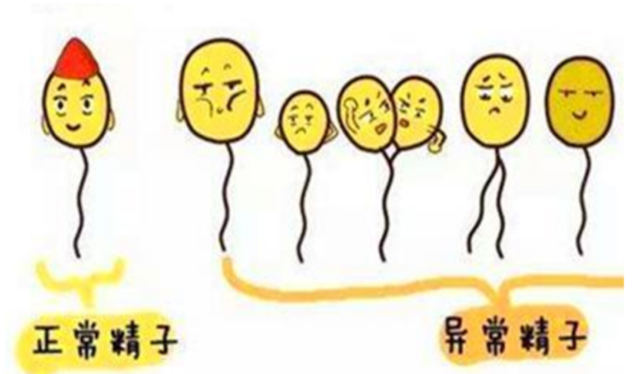 234c7a7358962a9f1b8c87f1bf9bcc1.png