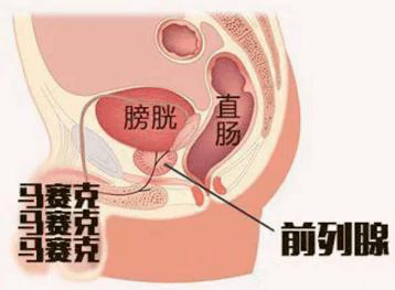 4c6116a0dffdf76b2efd79e768ed5e99.png