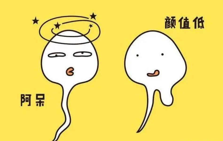 f7db78f21204d87df316dee5af9b8eb.png