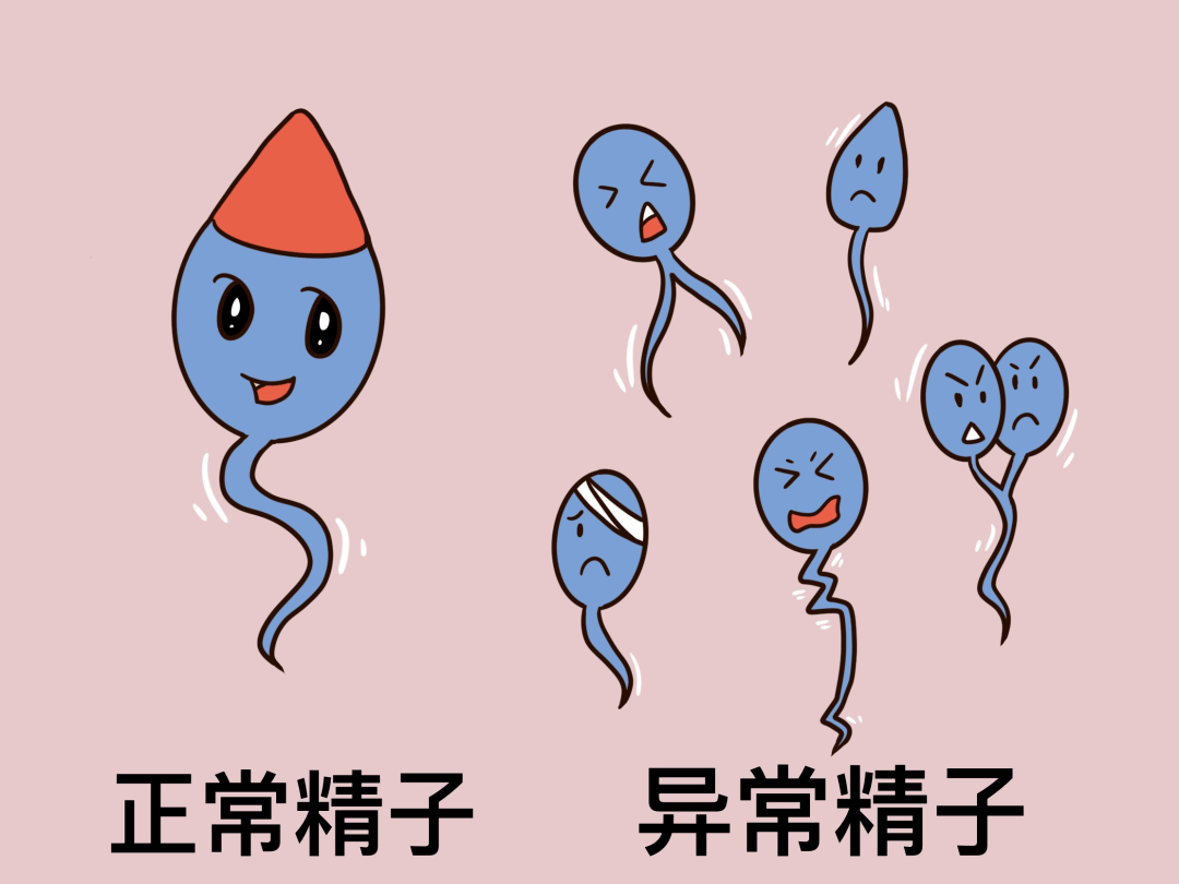 a2b841153272a39fb5bc2b68d4c62626.png