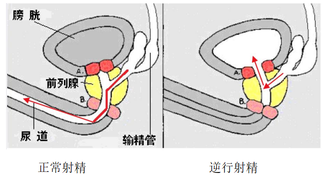 1551ce20a9f0a771322c66997d7377b8.png
