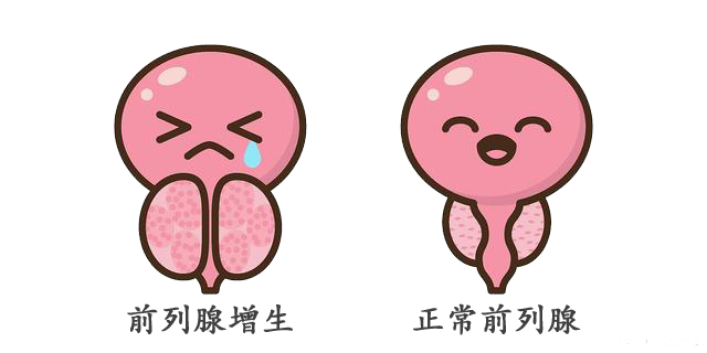 7515a4c97fcf297b389f75c3b2d70902.png