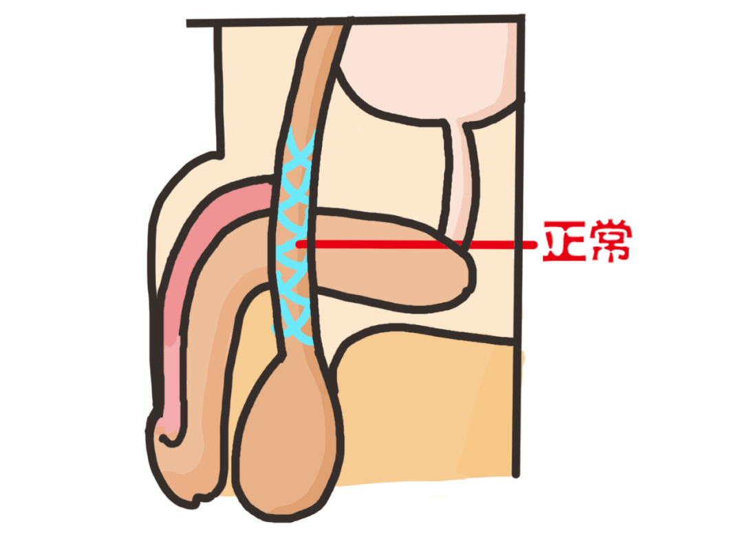 c97bcd6eb2eadbb6e9887b8b613f01eb.jpg