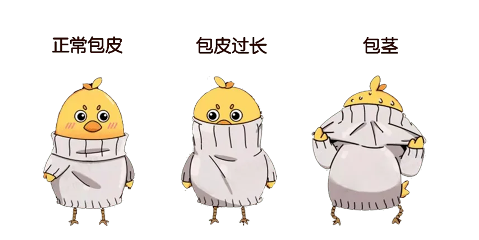 8b2a0c0027ed20e8481d93cc438cd958.png