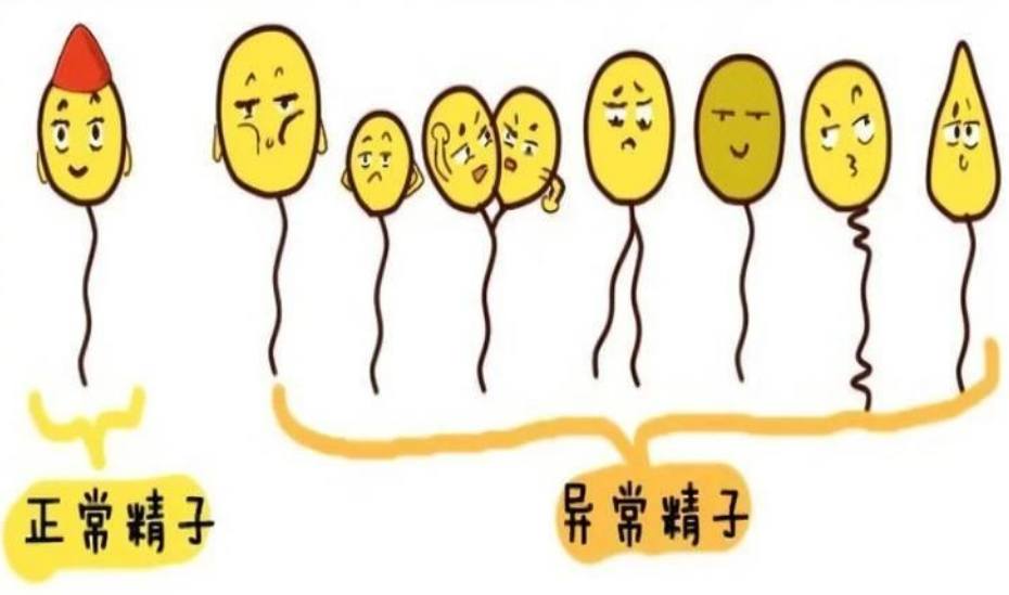 6f5dc5578e21a0fef071968d4582bf6.png