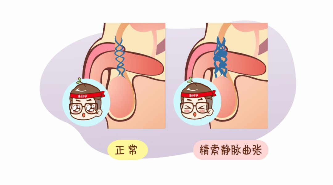 fe4320114cea216c04ece2e2e60ac7d0.png