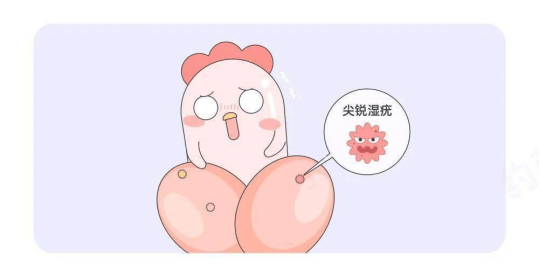 3499a6cdff0e7a99bbaf78055e30ae0c.png