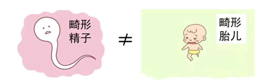 0b83f32405a785197d5cd8f464849cd2.png