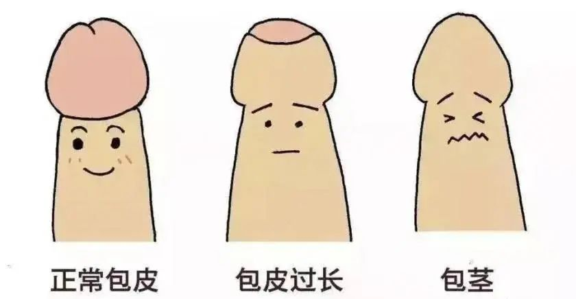10ab60afc5bc85df47fcca075d58b704.png