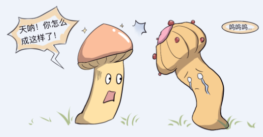 14d059162daa2099d612acf91e17f9de.png